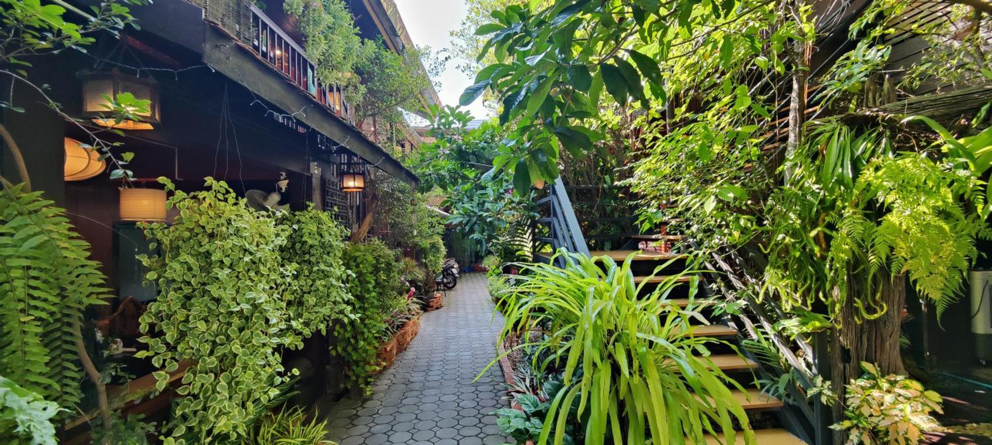 Hoh Guesthouse — Foto’s 3